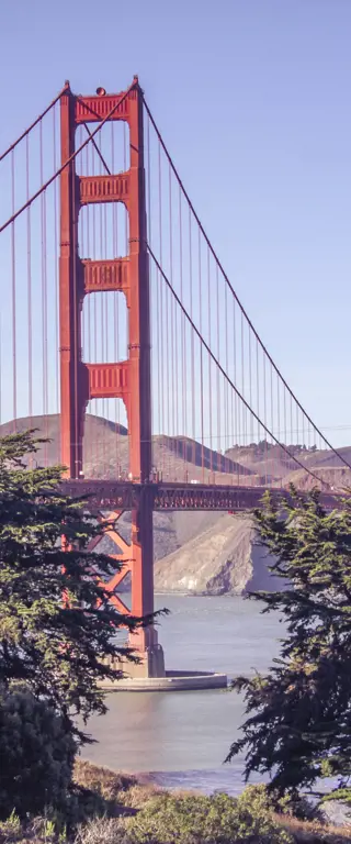 San Francisco Reisen – das Paris des Westens